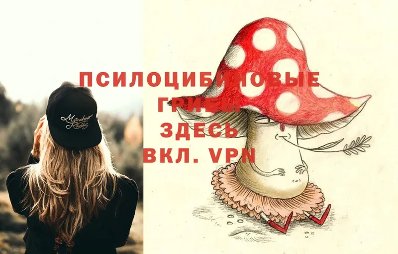 Галлюциногенные грибы Cubensis  Алзамай 